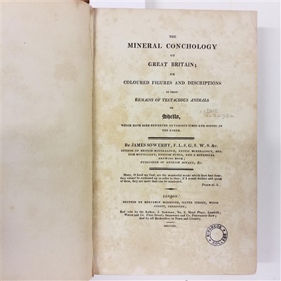 Lot 110 - Sowerby (James). The Mineral Conchology of Great Britain, 6 volumes, 1812-29