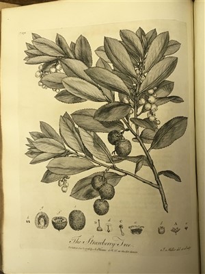 Lot 374 - Evelyn (John). Silva: or, a Discourse of Forest Trees, 1st edition, York, 1776