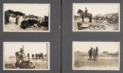 Lot 225 - Military. A WWI album of photographs of war horses & their handlers in France, c.. 1916-18