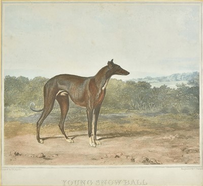 Lot 184 - Turner (Charles), Young Snowball, circa 1815