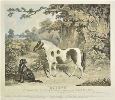 Lot 162 - Duncan (Edward). Beauty. A Celebrated Trotting Pony, 1834