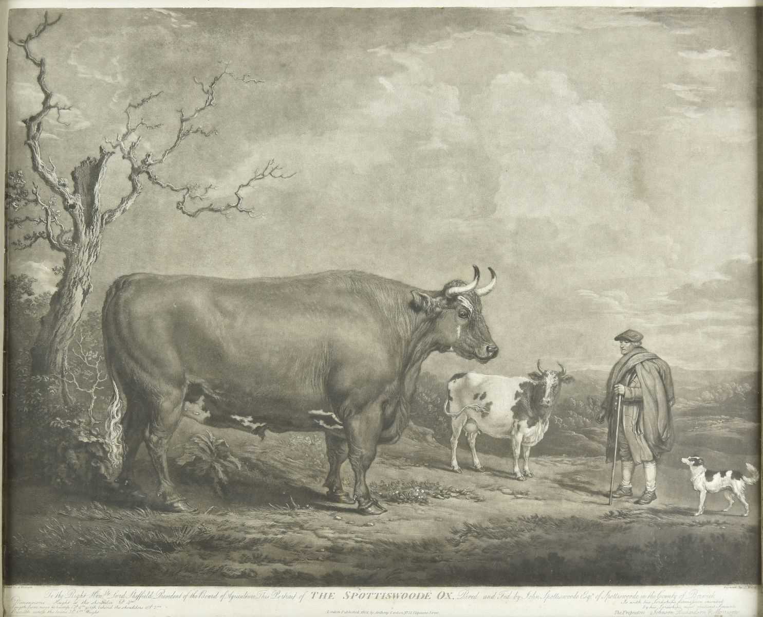 Lot 185 - Ward (James). The Spottiswoode Ox, 1804