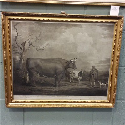 Lot 185 - Ward (James). The Spottiswoode Ox, 1804