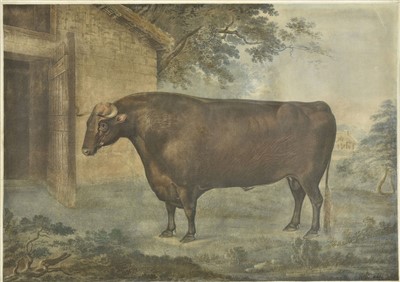 Lot 195 - After Thomas Weaver (1774-1843). 'Prizefighter' a Hereford Bull, circa 1802