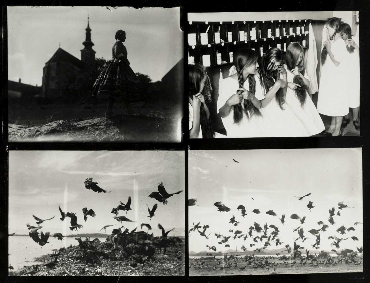 Lot 249 - Munkacsi (Martin, 1896-1963). Four contact prints on one sheet, circa 1930s, printed circa 1960