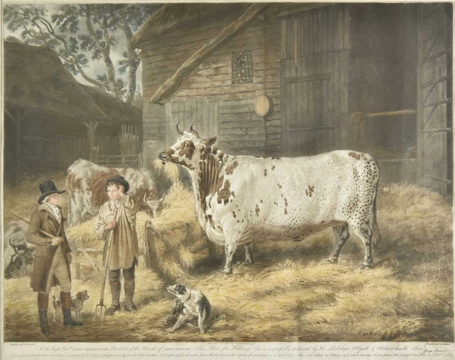 Lot 194 - Ward (William). The Holderness Cow, 1798