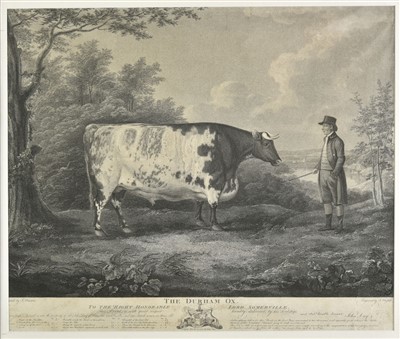 Lot 197 - Whessell (John, circa 1760-circa 1840). The Durham Ox, 1802