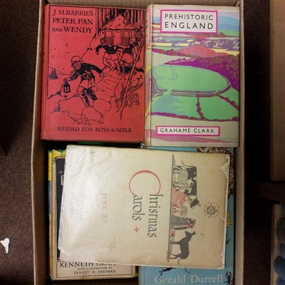 Lot 407 - Literature. A large collection of modern juvenile fiction, topography & history reference