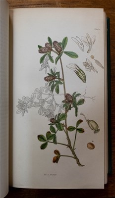 Lot 223 - Sowerby (James). English Botany, 1790-1866