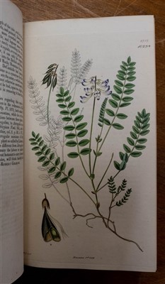 Lot 223 - Sowerby (James). English Botany, 1790-1866