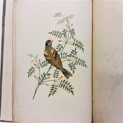 Lot 94 - Brookshaw (George). Six Birds, 1817