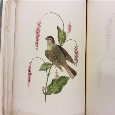 Lot 94 - Brookshaw (George). Six Birds, 1817