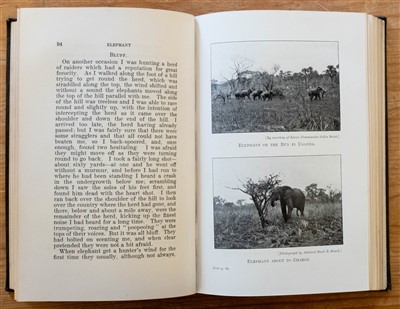 Lot 204 - Blunt (David Enderby). Elephant, 1st edition, 1933