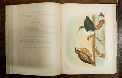 Lot 230 - Broinowski (Gracius J.). The Birds of Australia, 6 volumes, 1st edition, 1890-1