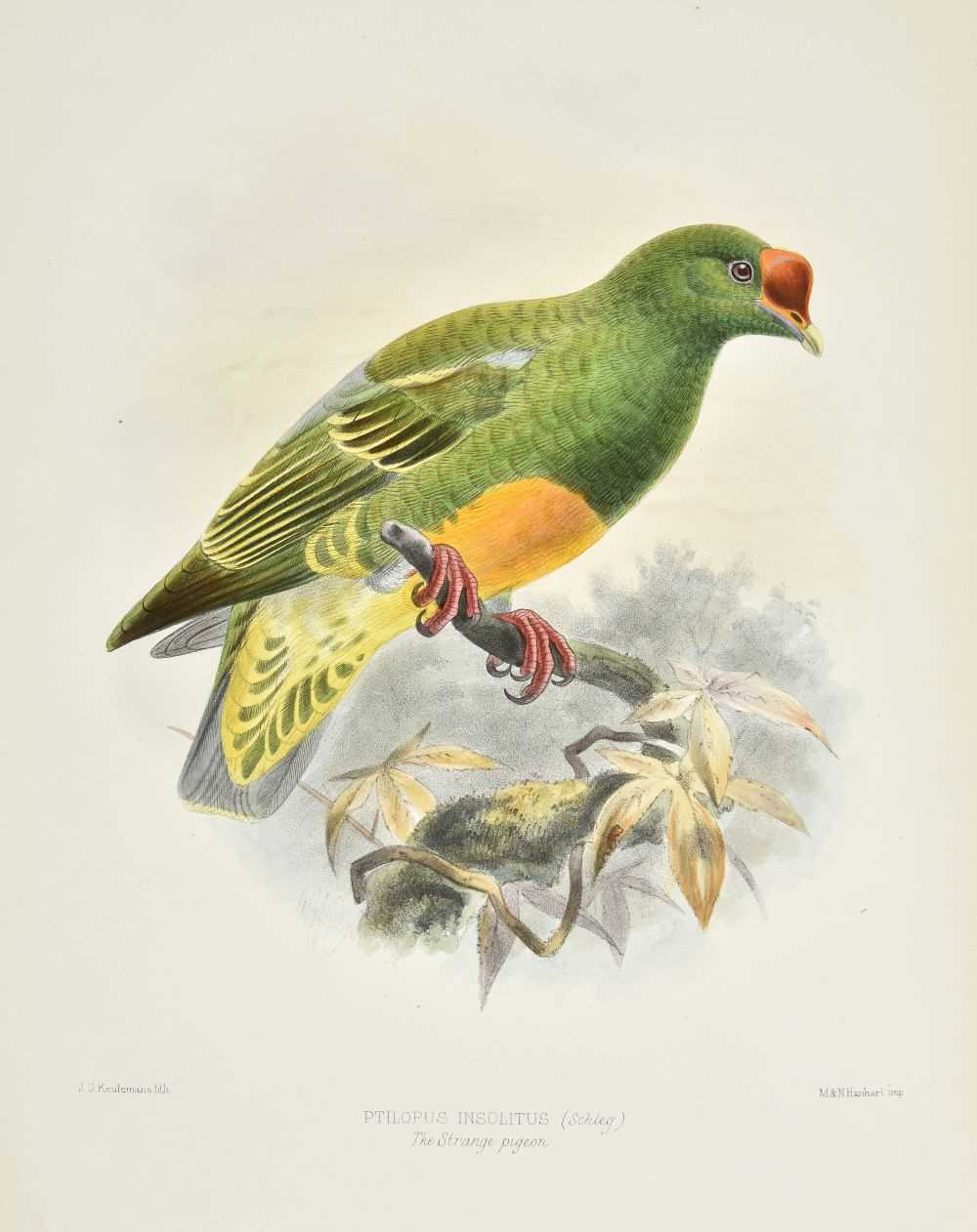Lot 264 - Rowley (George Dawson, editor). Ornithological Miscellany, 3 volumes, 1st edition, 1876-8