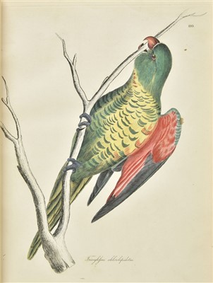 Lot 247 - Jardine (William, & Prideaux John Selby). Illustrations of Ornithology, 1st edition, 1826-43