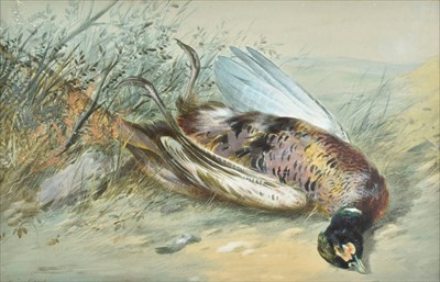 Lot 367 - Cruickshank (William, 1848-1922). Dead Pheasant in a Landscape, late 19th century