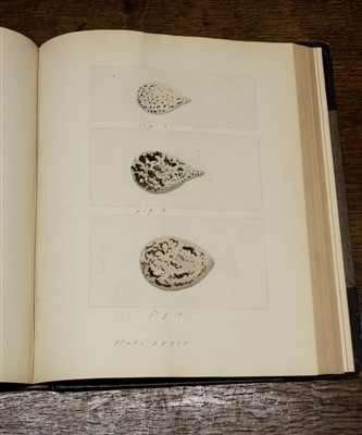Lot 259 - Oology.  'The Nests and Eggs of British Birds. By S. U. Duer', 1878