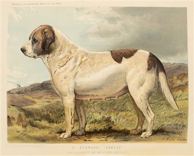 Lot 222 - Shaw (Vero). The Illustrated Book of the Dog, [in two volumes], Cassell & Company, [1886]