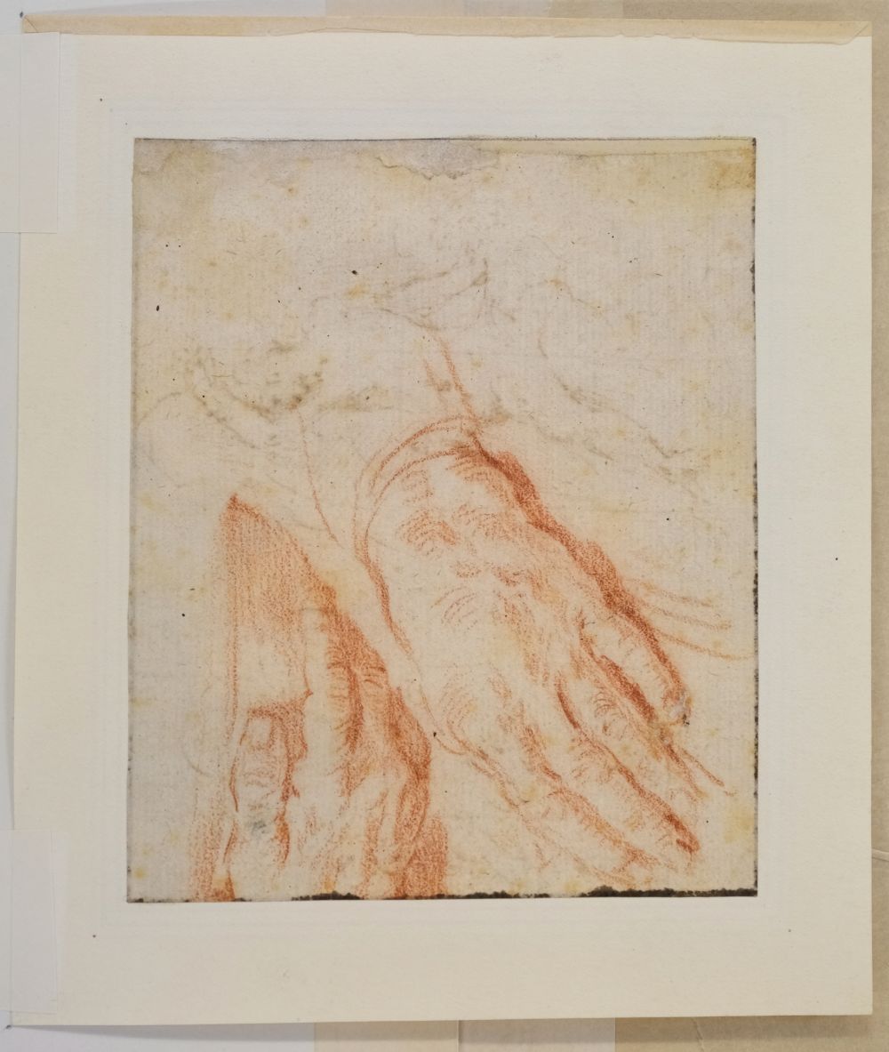 My Image 19
