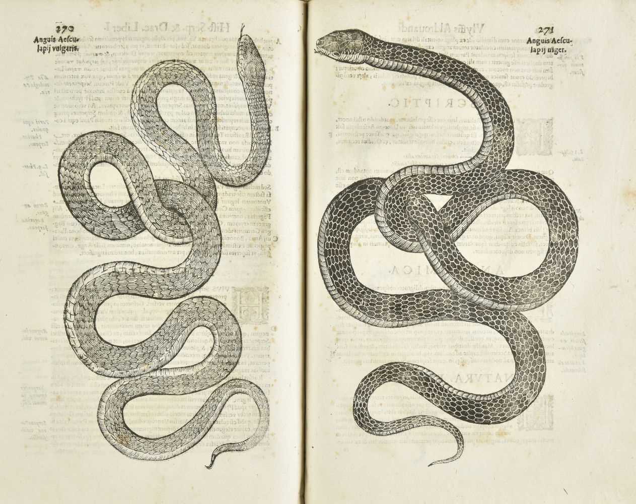 Lot 200 - Aldrovandi (Ulisse). Serpentum et Draconum Historiae libri duo, 1st edition, Bologna, 1640