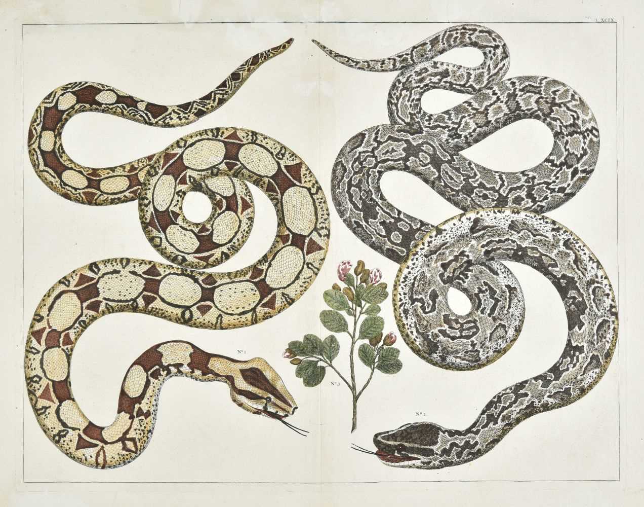Lot 338 - Reptiles and Amphibians. A mixed collection of approximately 130 prints, 18th & 19th century