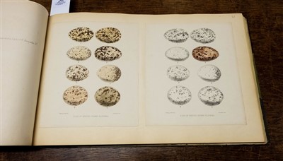 Lot 260 - Oology. 'Exotic Birds Eggs' [spine-title], 1919