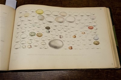 Lot 260 - Oology. 'Exotic Birds Eggs' [spine-title], 1919