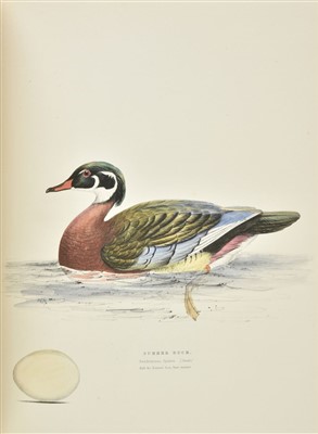Lot 255 - Meyer (Henry Leonard). Illustrations of British Birds, 4 volumes in 2, [1835-44?]
