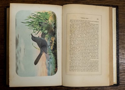 Lot 271 - Webber (C. W.). Wild Scenes and Song-Birds, 1st edition, New York, 1854