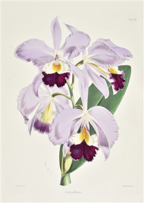 Lot 226 - Warner (Joseph). Select Orchidaceous Plants, 1st edition, 1862-5