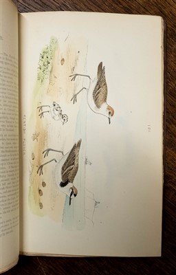 Lot 256 - Mosley (S. L.). A History of British Birds, their Nests, and Eggs, 1st edition, 1881-92