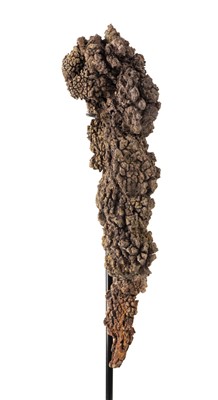 Lot 282 - Fossil Coprolite, on stand