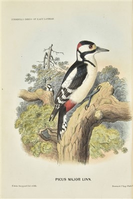 Lot 269 - Turnbull (William). The Birds of East Lothian, 1st UK edition, 1865, & 21 others