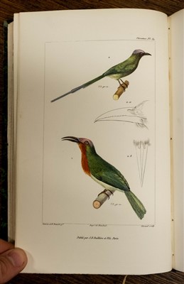 Lot 236 - Cuvier (Georges). Les oiseaux, 1869, & 4 others, continental ornithology, leather-bound