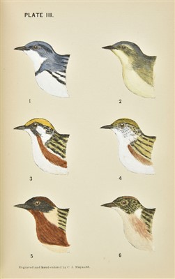 Lot 254 - Maynard (Charles Johnson). The Warblers of New England, 1st edition, 1901-5