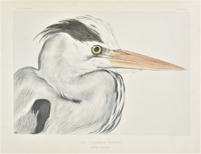Lot 228 - Blackburn [Jemima]. Birds drawn from Nature, 1st edition, Edinburgh: Edmonston & Douglas, 1862