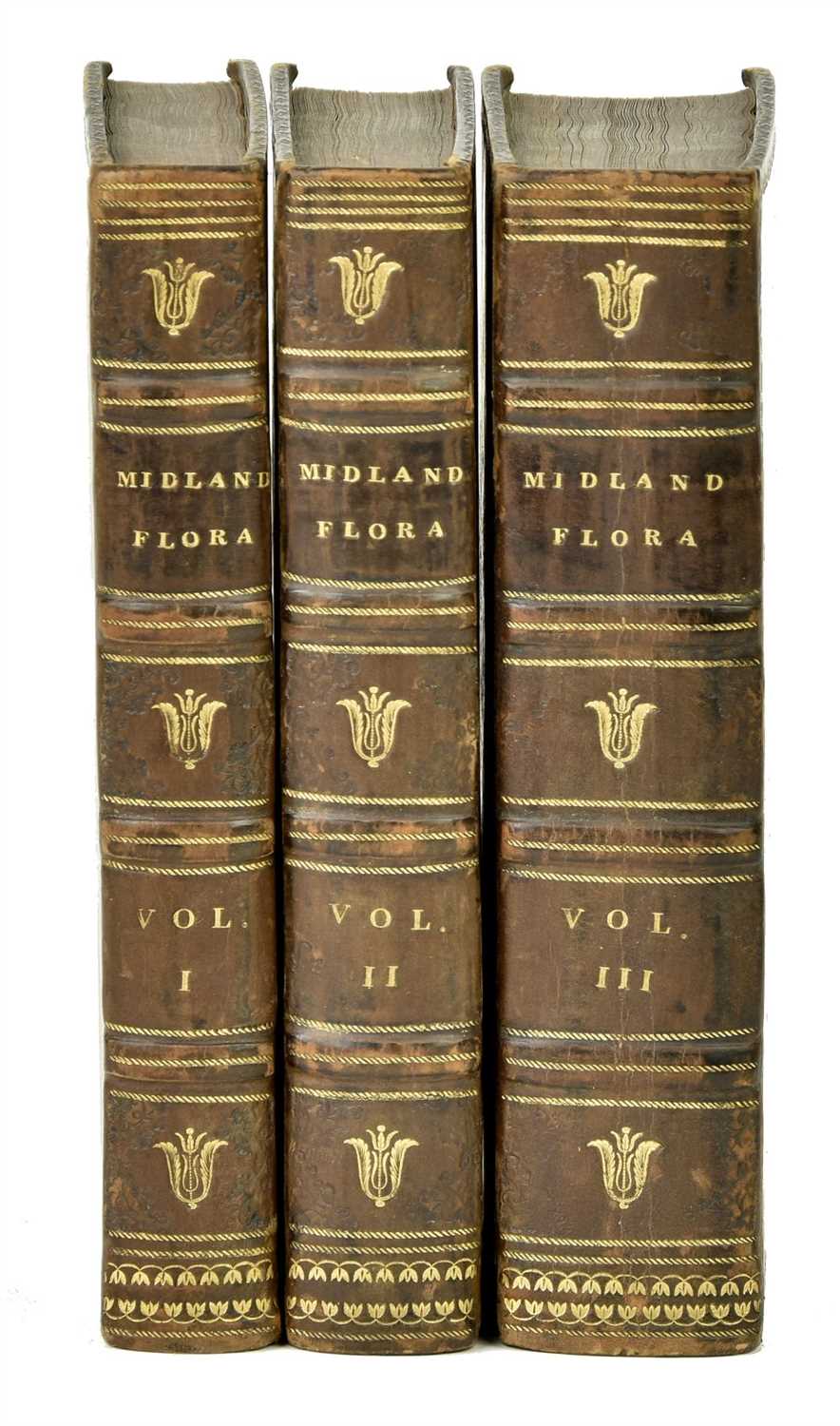 Lot 219 - Purton (Thomas). A Botanical Description of British Plants, in the Midland Counties, 3 vols., 1817