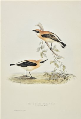 Lot 314 - Gould (J. & E.). Fourteen lithographs, 1832 - 1837