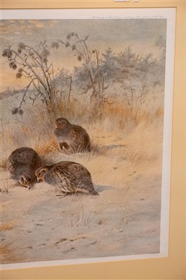 Lot 342 - Thorburn (Archibald). Partridges on a Frosty Morning & Partridges in Snow, 1928 & 1907