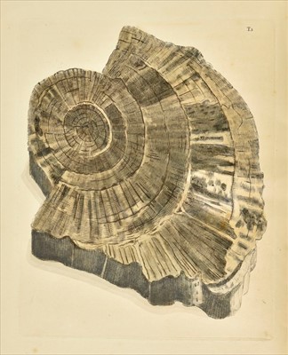 Lot 186 - Martin (William). Petrificata Derbiensia, 1809