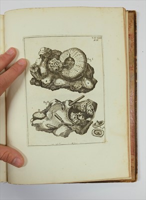 Lot 189 - Scilla (Agostino). De corporibus marinis lapidescentibus quae defossa reperiuntur..., Rome, 1747