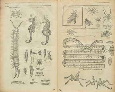 Lot 197 - Moffett (Thomas). Insectorum sive minimorum animalium theatrum, 1st edition, 1634