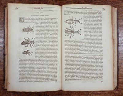 Lot 197 - Moffett (Thomas). Insectorum sive minimorum animalium theatrum, 1st edition, 1634