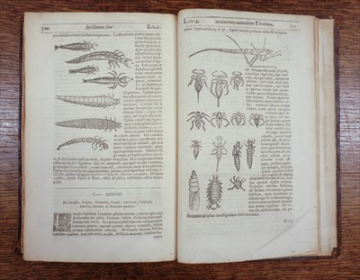 Lot 197 - Moffett (Thomas). Insectorum sive minimorum animalium theatrum, 1st edition, 1634