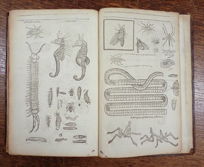 Lot 197 - Moffett (Thomas). Insectorum sive minimorum animalium theatrum, 1st edition, 1634