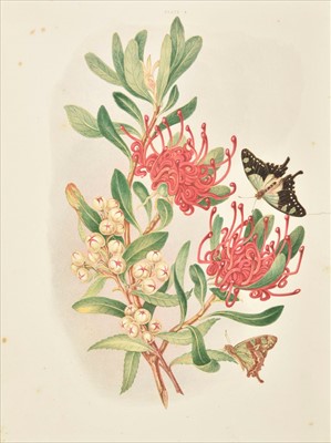 Lot 194 - Meredith (Louisa Anne). Some of my Bush Friends in Tasmania... , 1st edition, Day & Son, 1860