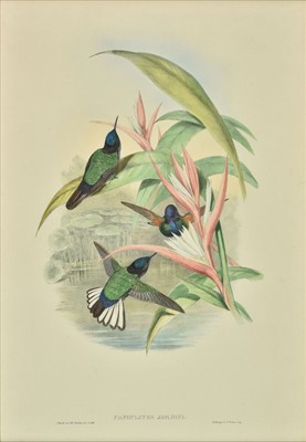 Lot 196 - Gould (John), Three lithographs, circa 1870