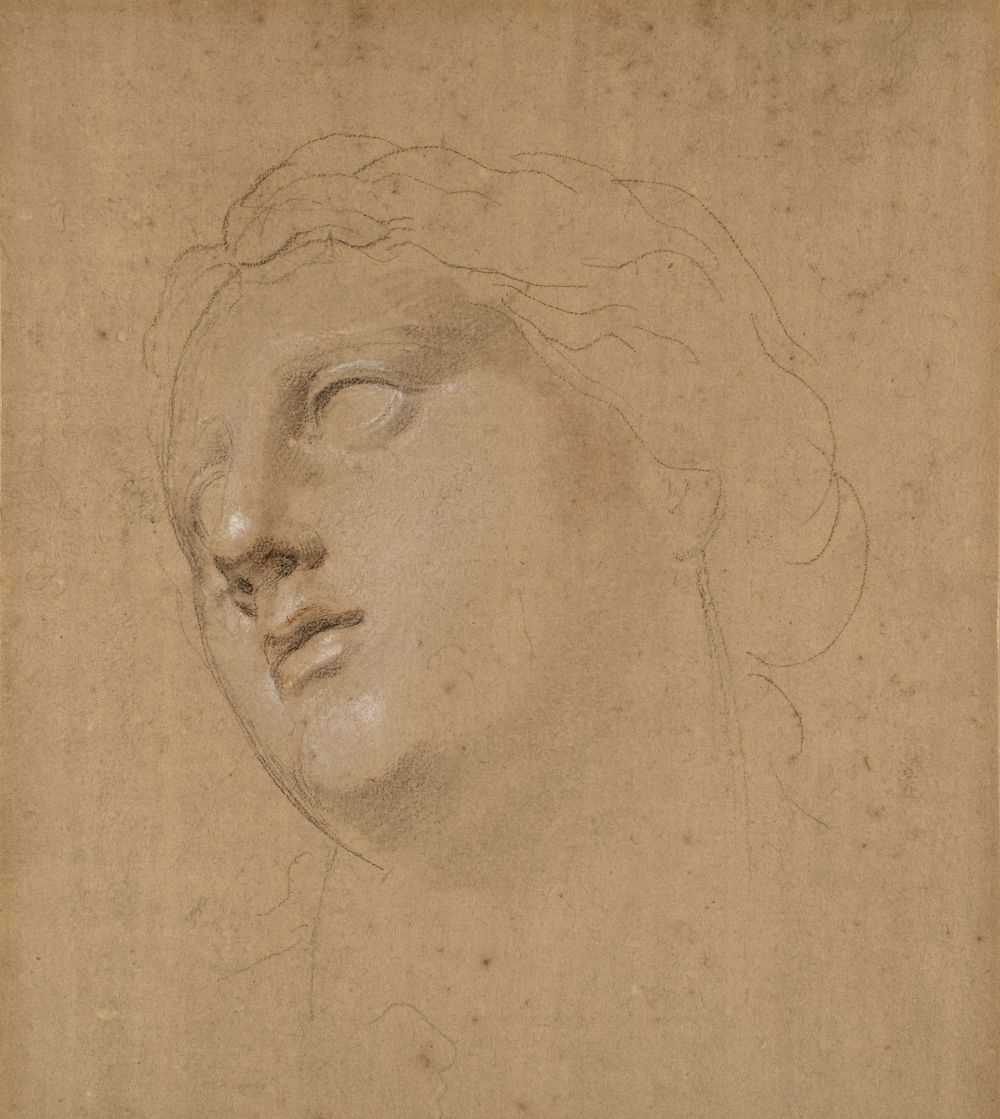 Lot 285 - Cipriani (Giovanni Battista, 1727-1785, attributed to). Head of a young woman looking upwards