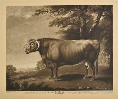 Lot 189 - Cattle. A mixed collection of approximately eighty prints and engravings, mostly 19th century